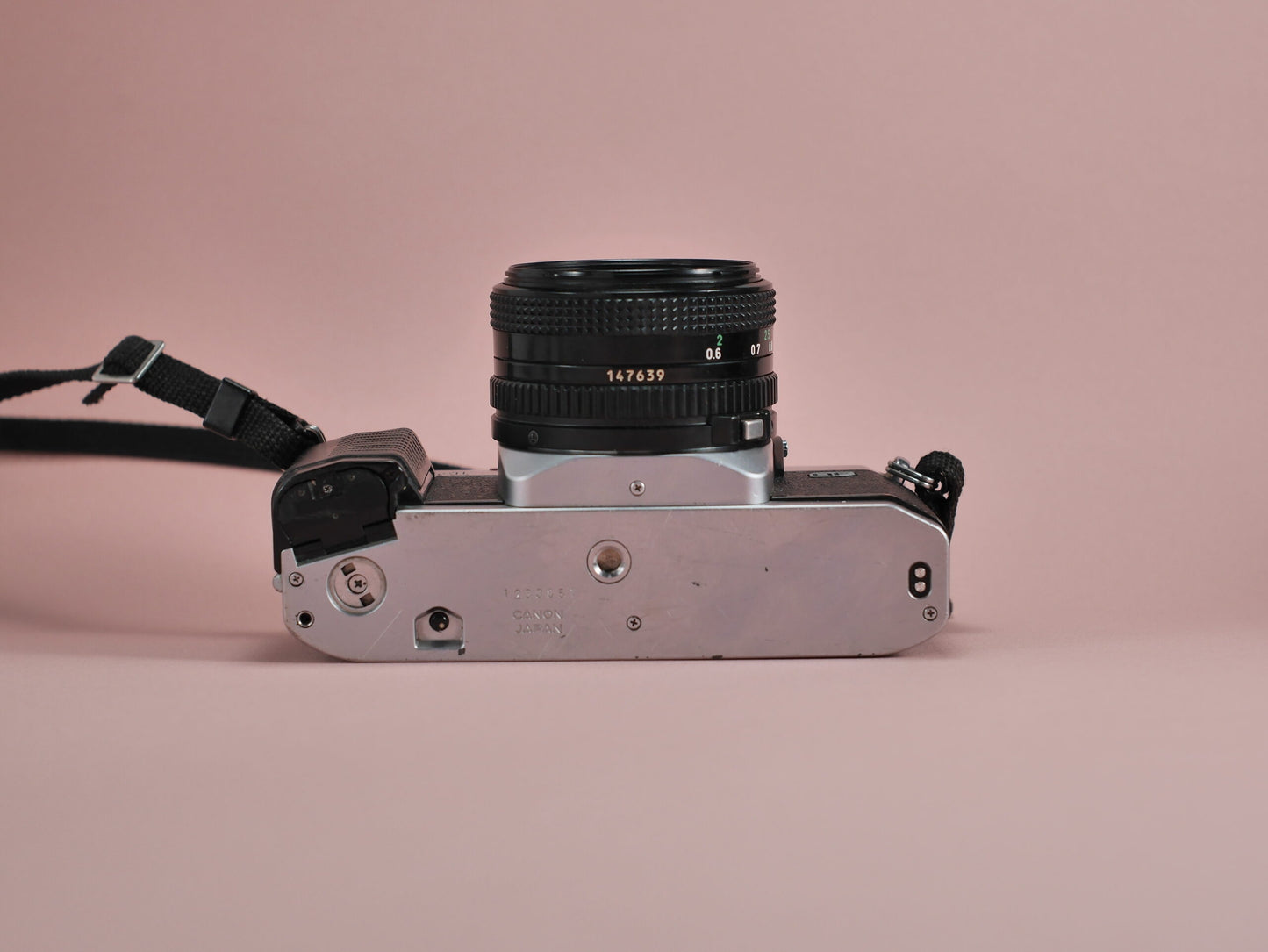P1290904